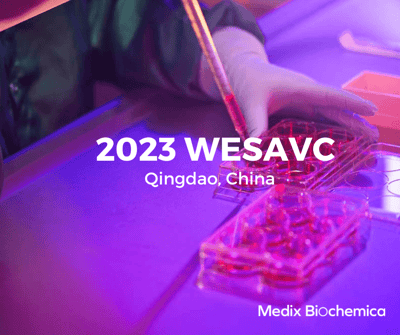 WESAVC 23-25 May 2023