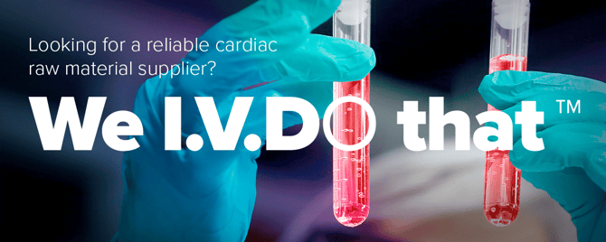 High Performing, Animal Free Antibodies for Cardiac Assays